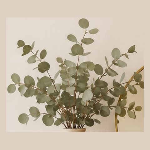 Faux eucalyptus stems