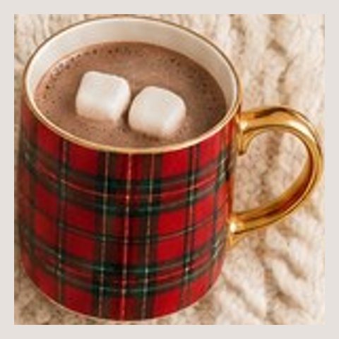 Red plaid Christmas mug