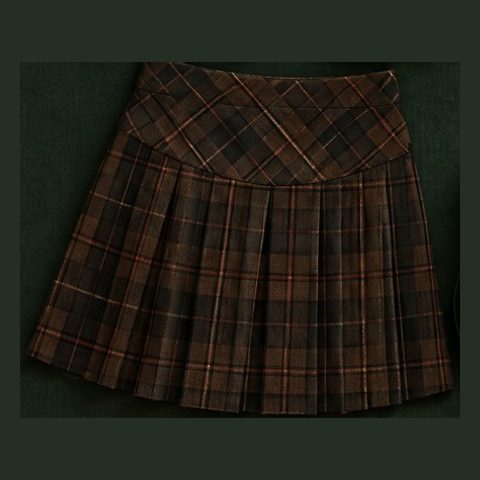 Brown plaid pleated skirt
