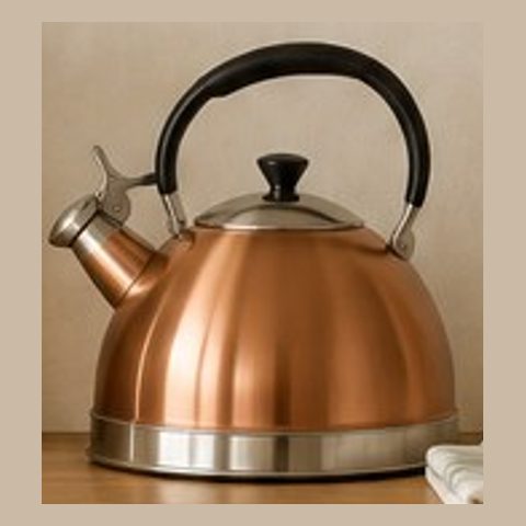 Copper tea kettle